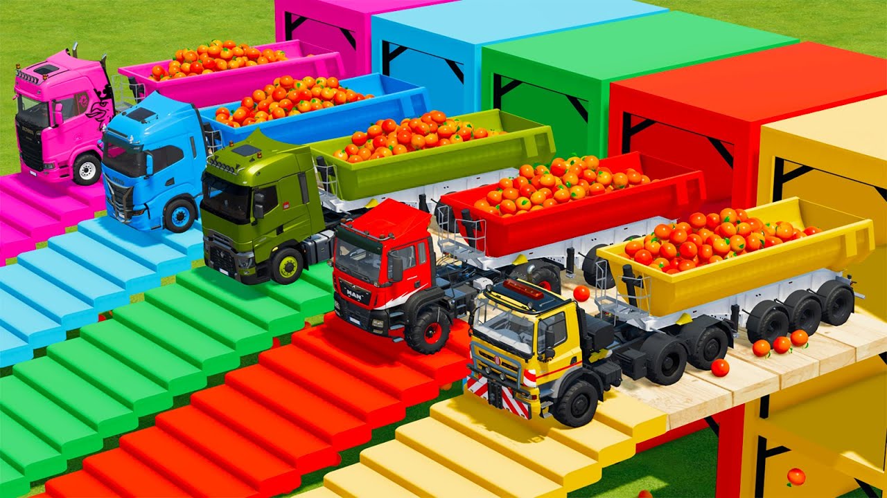 IVECO vs RENAULT vs MAN vs SCANIA TRUCKS BATTLE WITH ORANGES - Farming Simulator 22