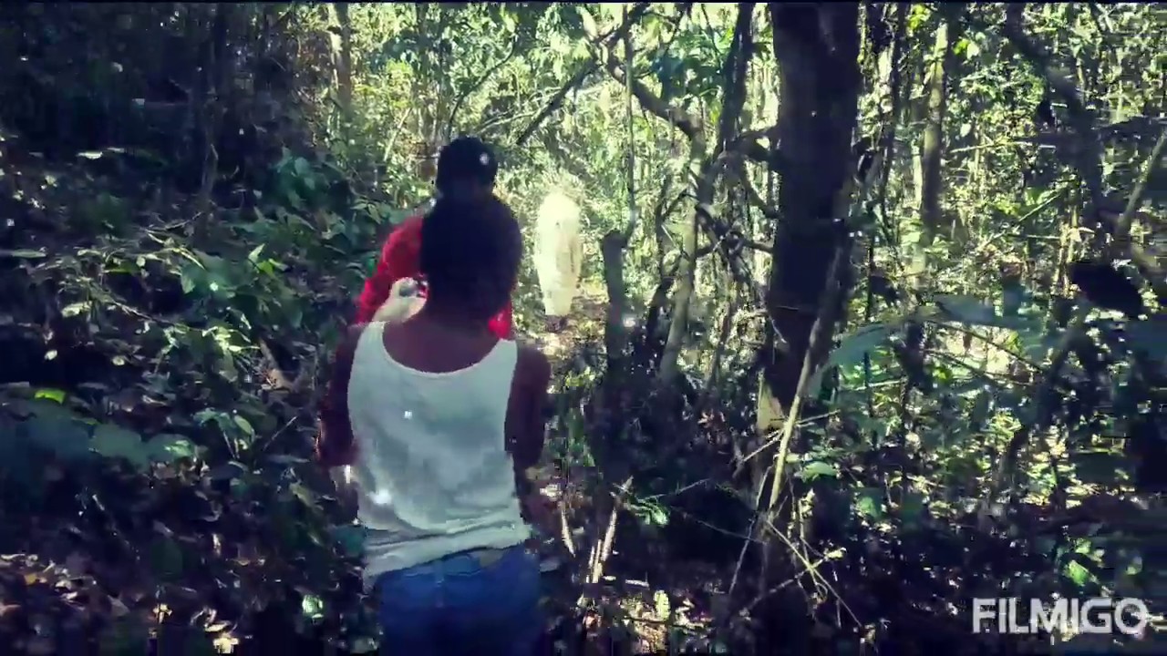 el bosque prohibido tr&aacute;iler oficial