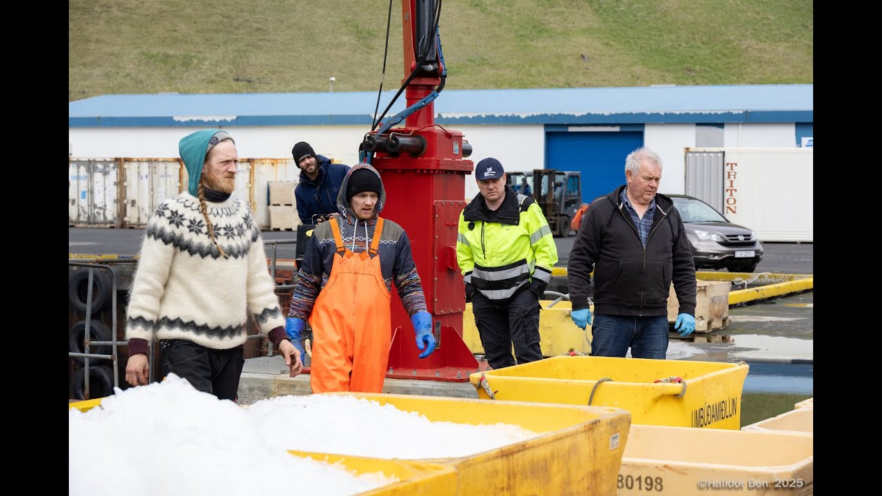Strandveiðar 12  mai 2025