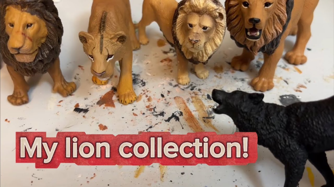 My Lion collection!