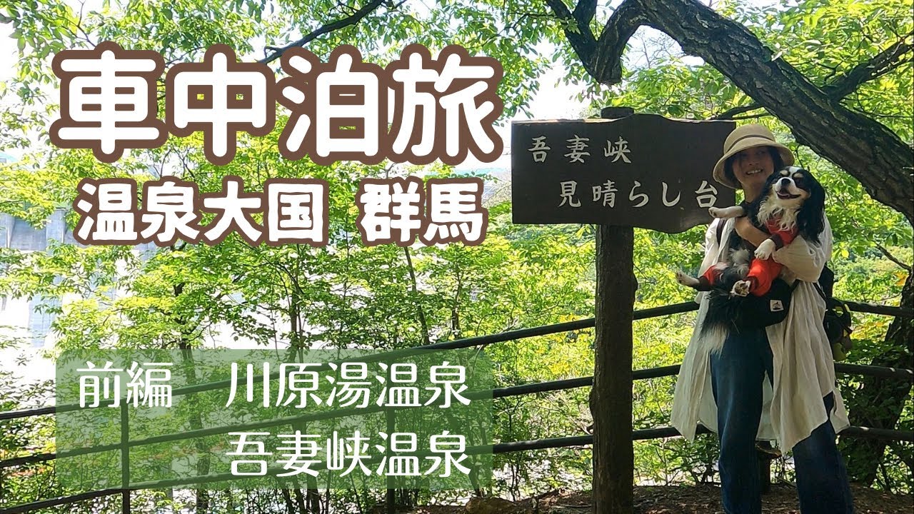 【犬と車中泊の旅】ダムに沈んだ温泉地。群馬県の隠れた名湯へ。道の駅あがつま峡で車中泊。川原湯温泉 車中泊の旅 前編