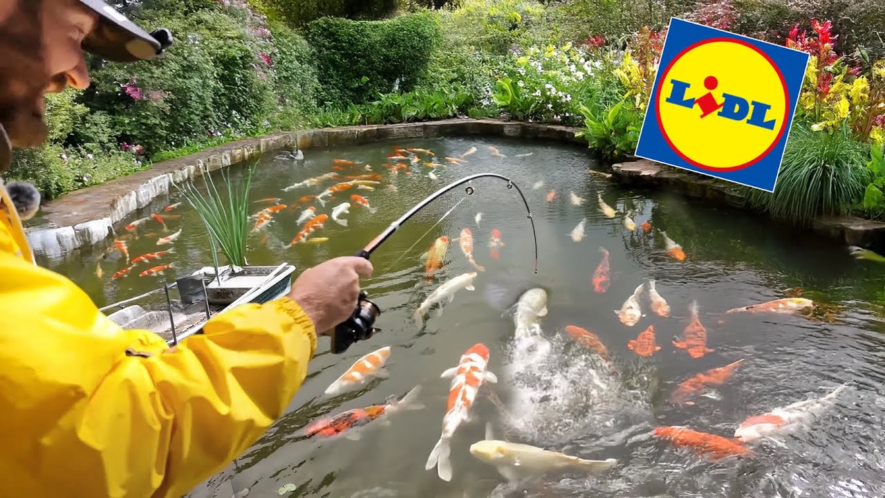 Koi Teich LIDL Challenge: Die 4 wertvollsten Fische mit Billig-Rute angeln!