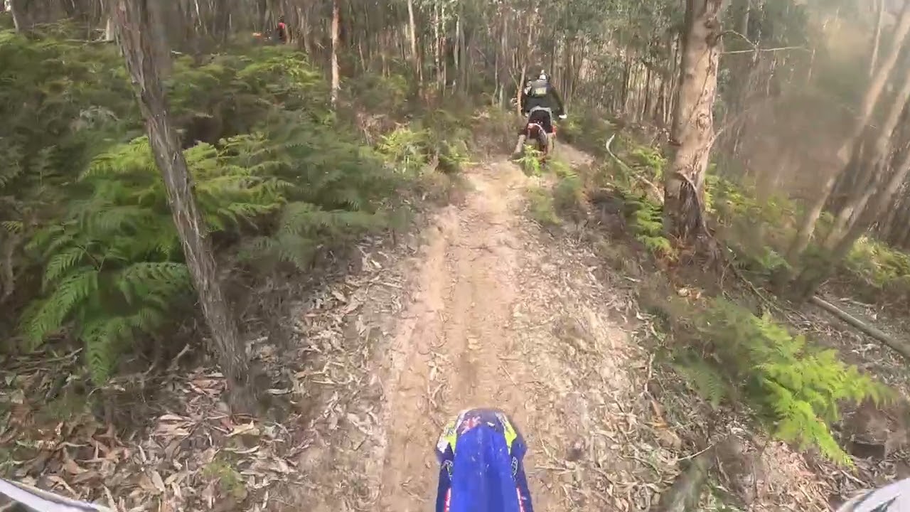Mount Disappointment intermediate fun ride