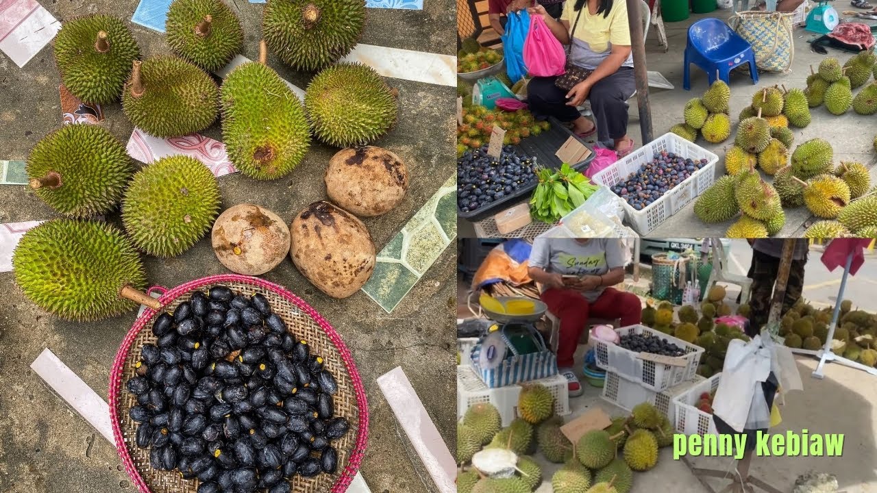Berjalai ke tamu selangau