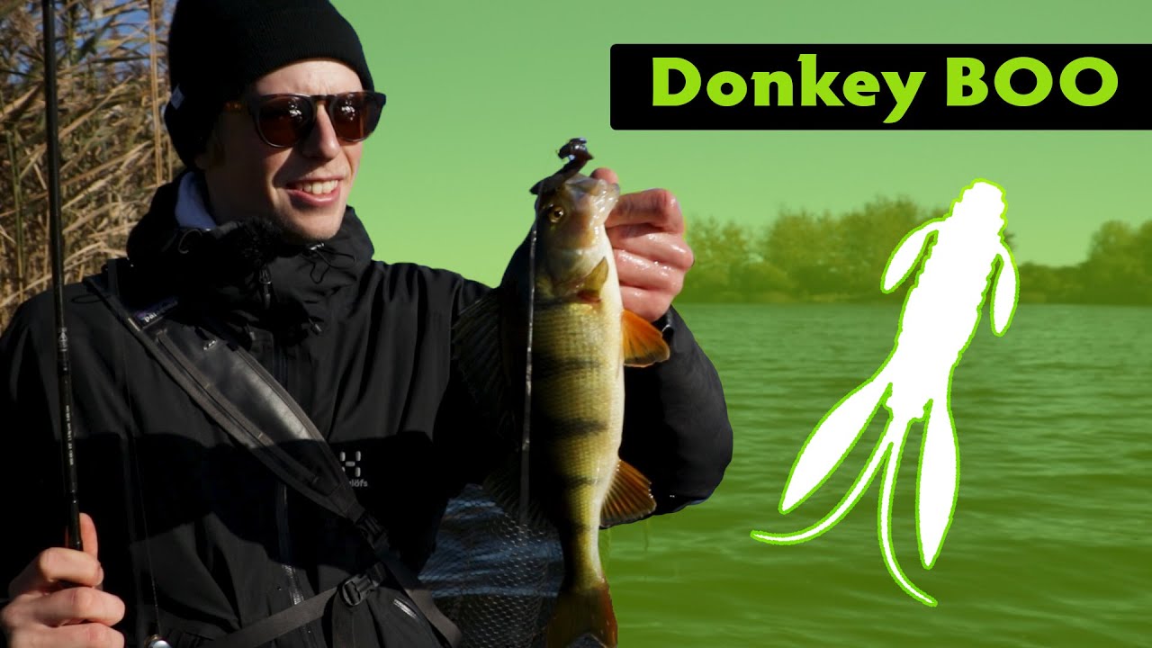 Barsch angeln im Winter ❄️ mit NOIKE KREBSEN 🦞|| Dicke Dinger mit Donkey Boo