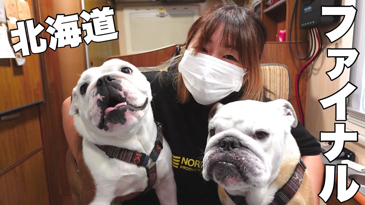 さようなら！北海道車中泊生活を辞めて愛犬と一緒に自宅に帰ります！