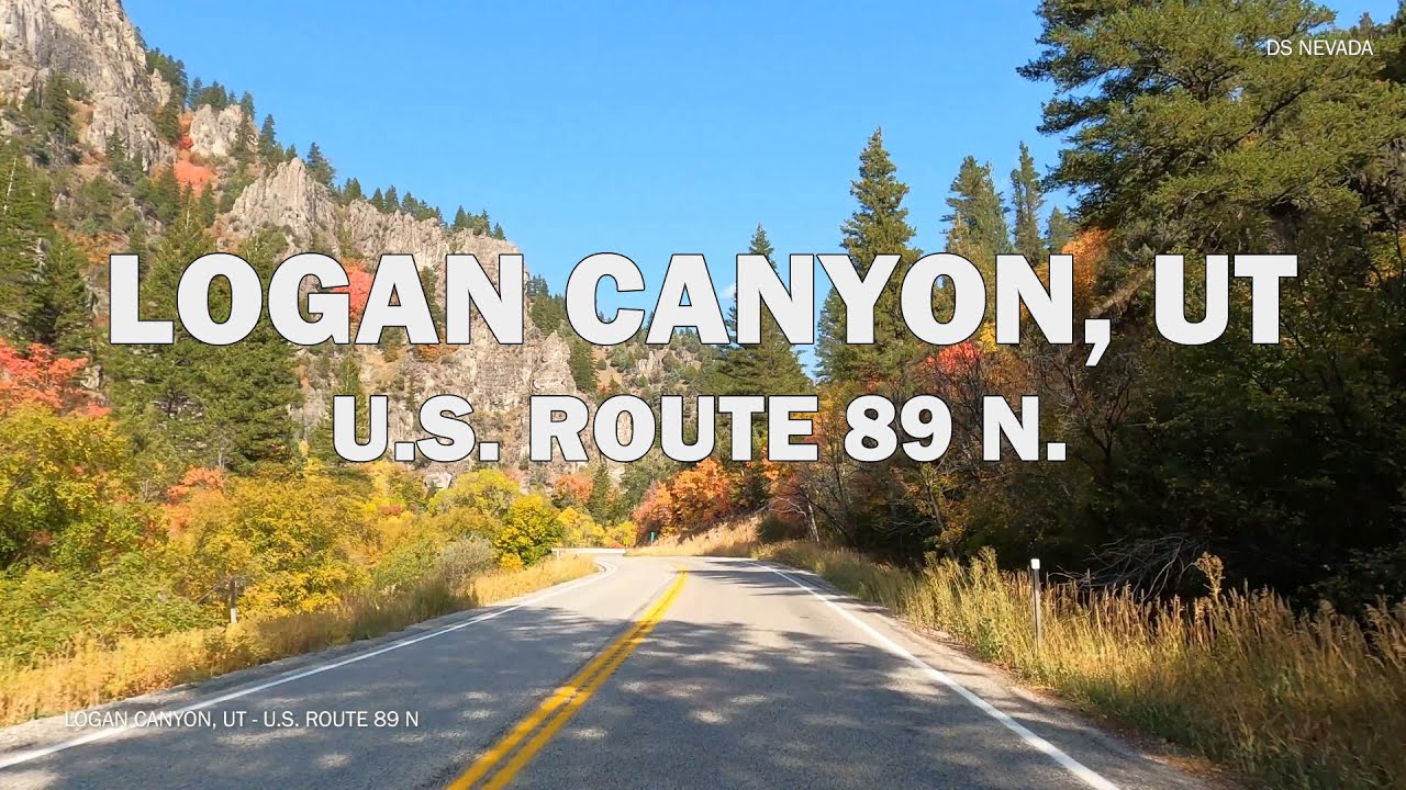 Logan Canyon / U.S. Route 89 N - Driving 4K