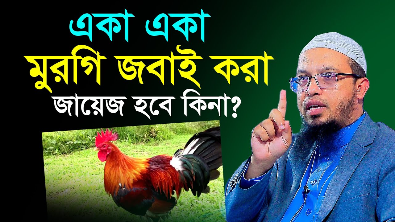 একা একা মুরগি জবাই করা জায়েজ হবে কি । শায়খ আহমাদুল্লাহ