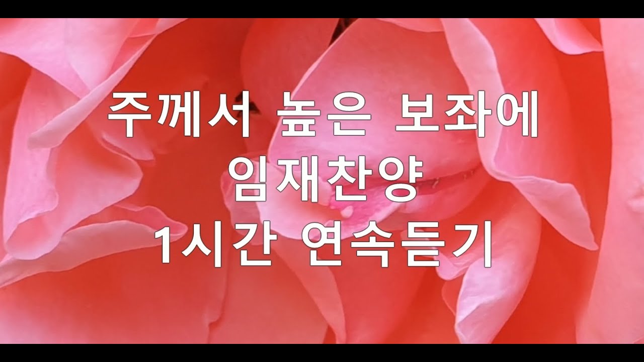 주께서 높은 보좌에/ 1시간 끓김없이 재생/CCM/임재찬양/찬송