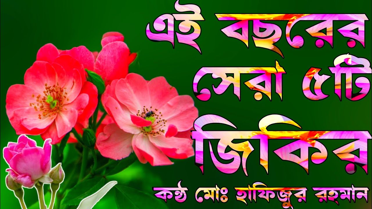 এই ৫টি জিকির শুনুন আপনার দিল ঠান্ডা হয়ে যাবে ইনশাআল্লাহ কন্ঠ মোঃ হাফিজুর রহমান জিকির লিরিক্স ২০২৪