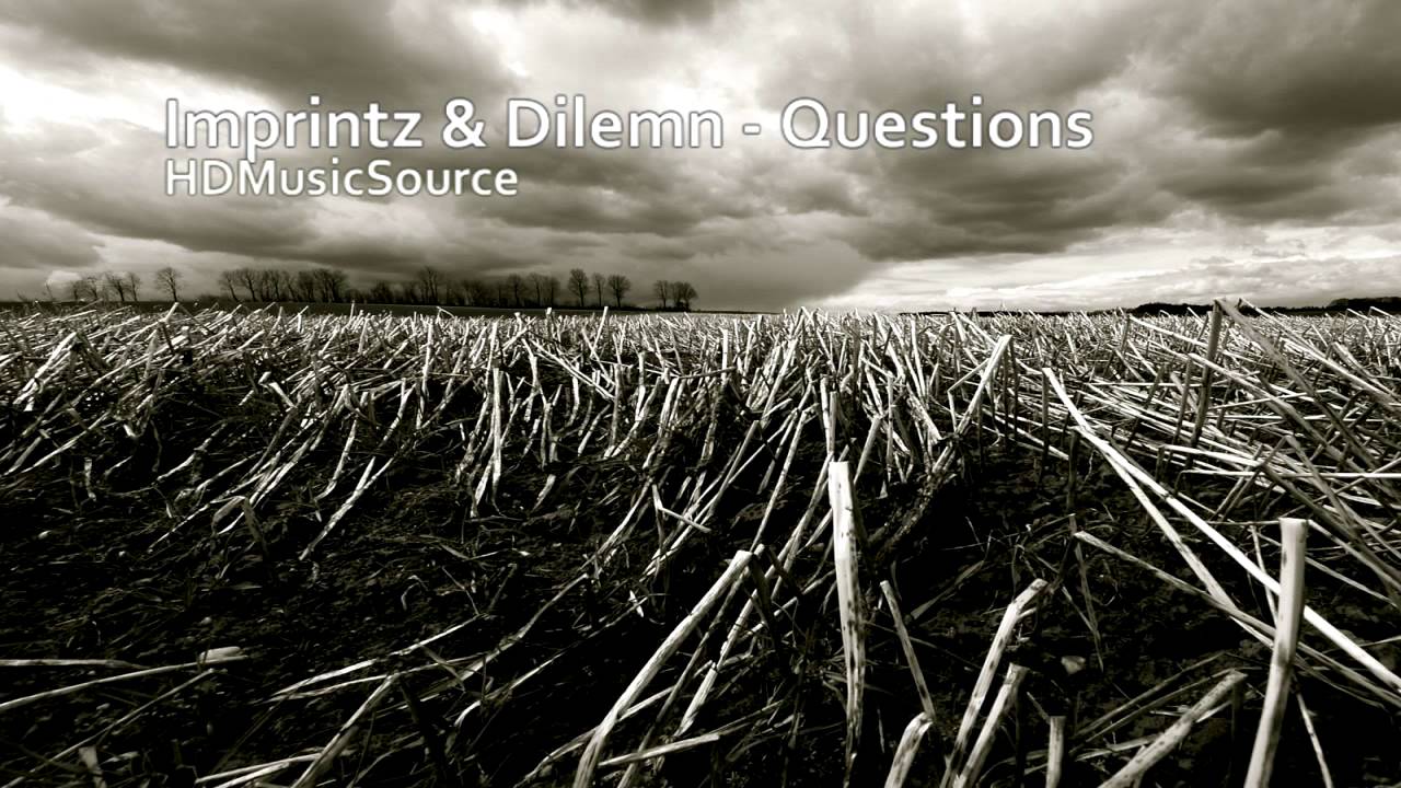 Imprintz & Dilemn - Questions HD (320Kbit)