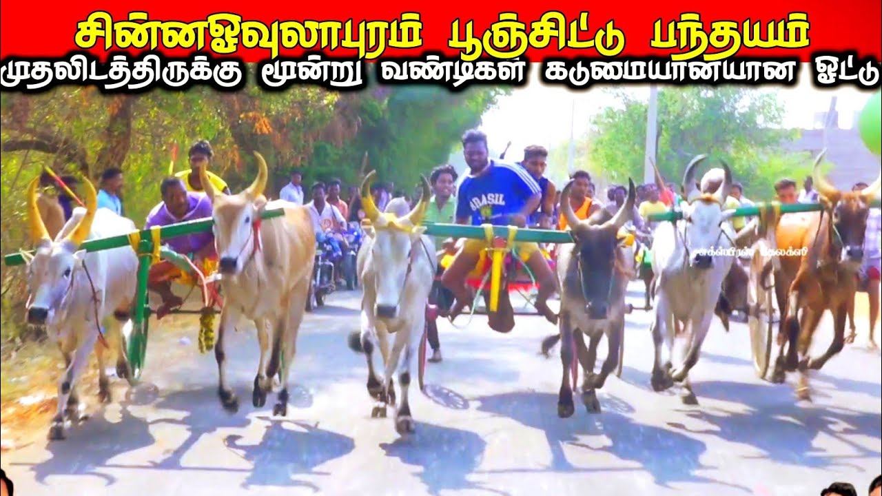 7-3-2026- பூஞ்சிட்டு சின்ன ஓவுலாபுரம் பந்தயம்