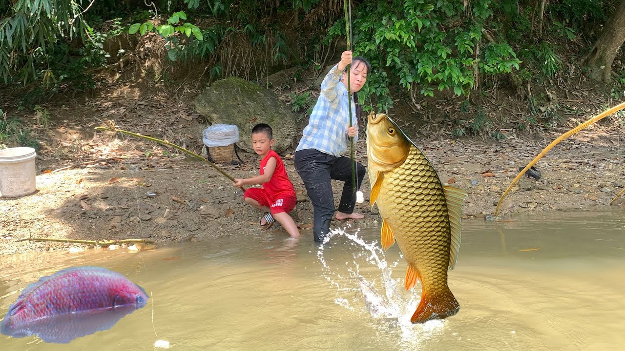 Girl's Big Fish Fishing Technique in a Desolate Place - Fishing Video