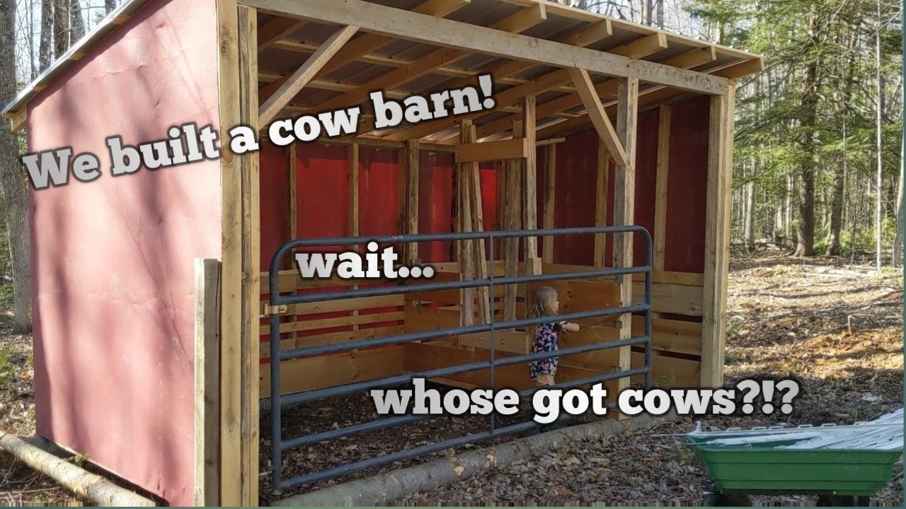 One Stall Portable Cow Shed on Skids w/ DIY Headlock
