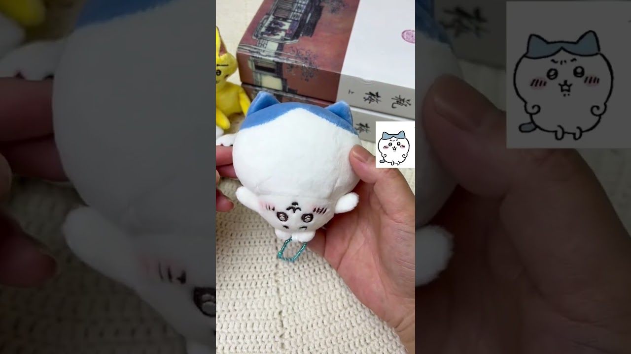 How is Hachiware strange.#Chiikawa #Usagi #Hachiware #cute #friends #cool #gift #toys #Plush #love