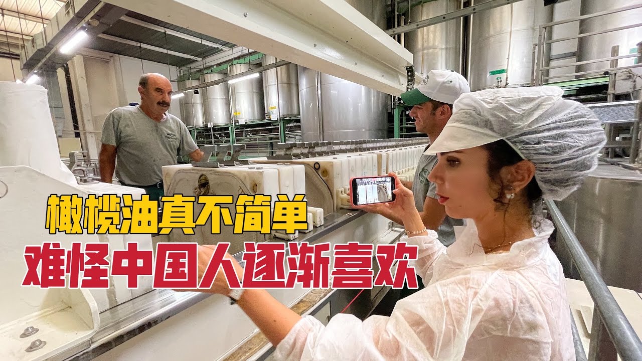 意大利女孩探秘橄榄油加工，一瓶油含盖太多知识，中国人逐渐接受