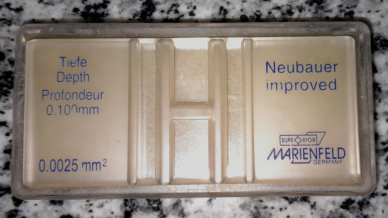 شرح شريحة عد الدم (الهيموسيتوميتر)خطوة بخطوة عملي hemocytometer