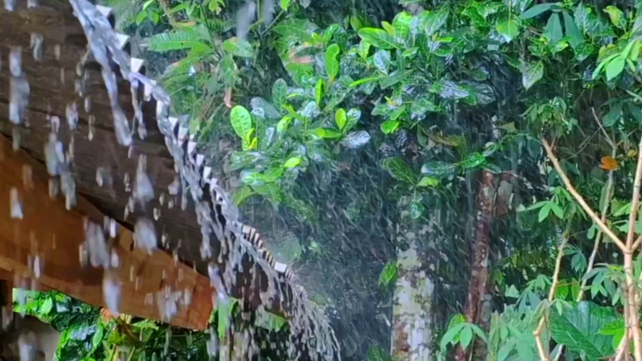 Звуки дождя для сна на крыше 🌧️ Терапия сильным дождем от бессонницы и для глубокого сна