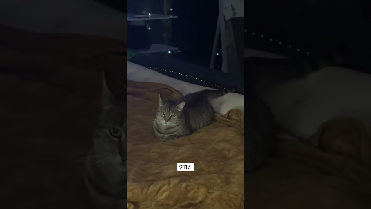 @astramuze: Ничто не остановит ее 