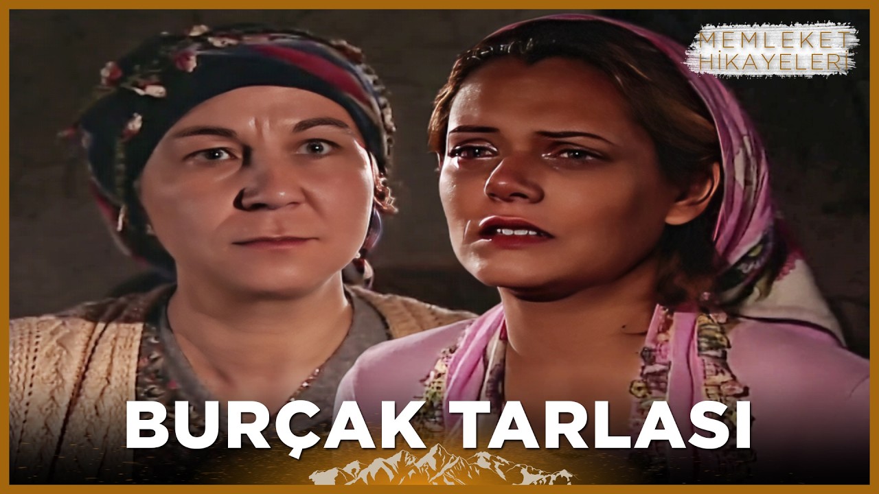 Burçak Tarlası | Memleket Hikayeleri