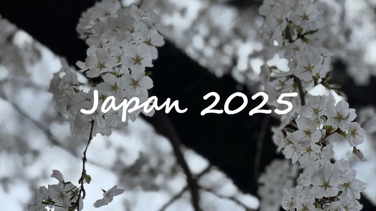 Japan Trip 2025