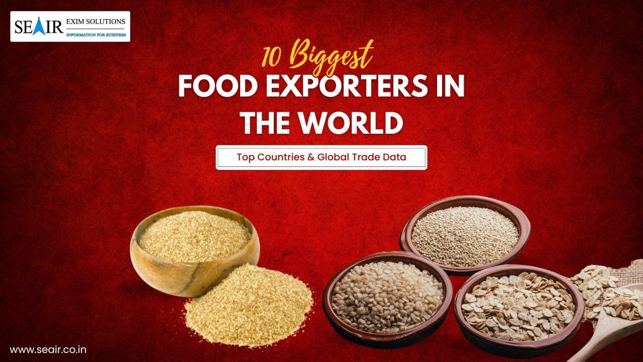 10 Biggest Food Exporters in the World: Top Countries & Global Trade Data