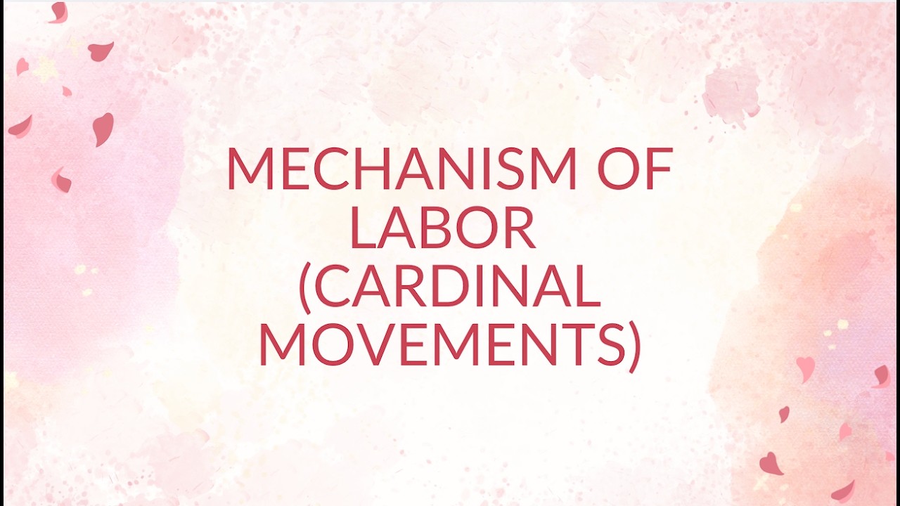 Mechanism of Labor: Cardinal Movements of Labor