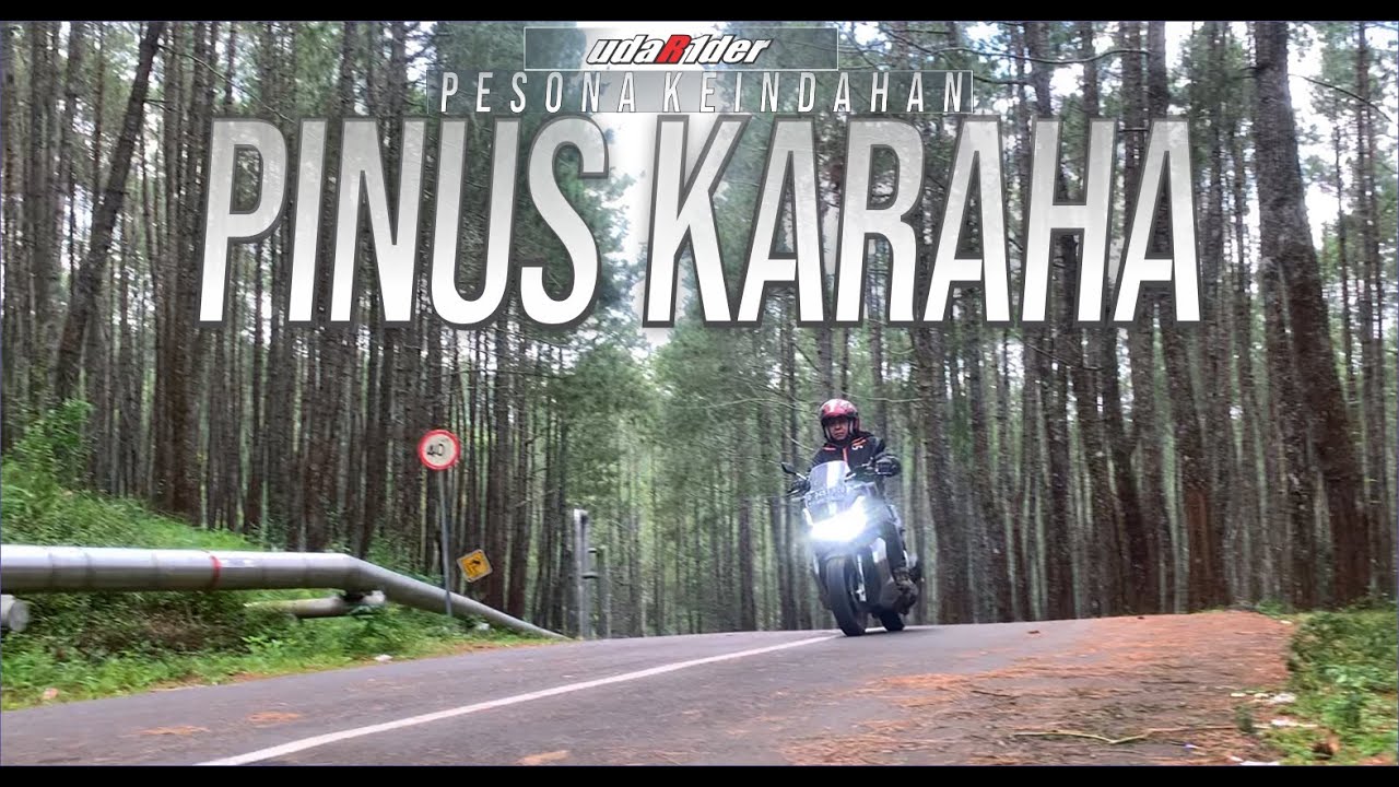 Indahnya Jalur Hutan Pinus Kawah Karaha - Tasikmalaya...Karaha #2