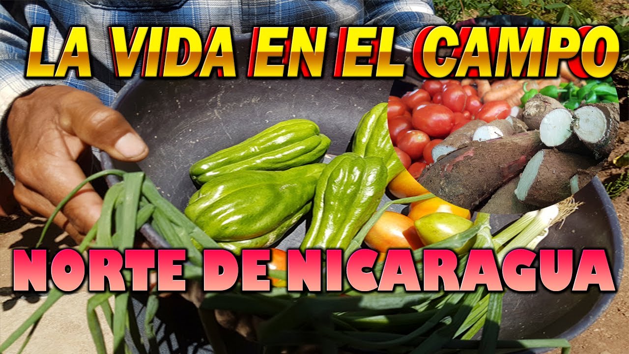 LA VIDA EN EL CAMPO AL NORTE DE NICARAGUA