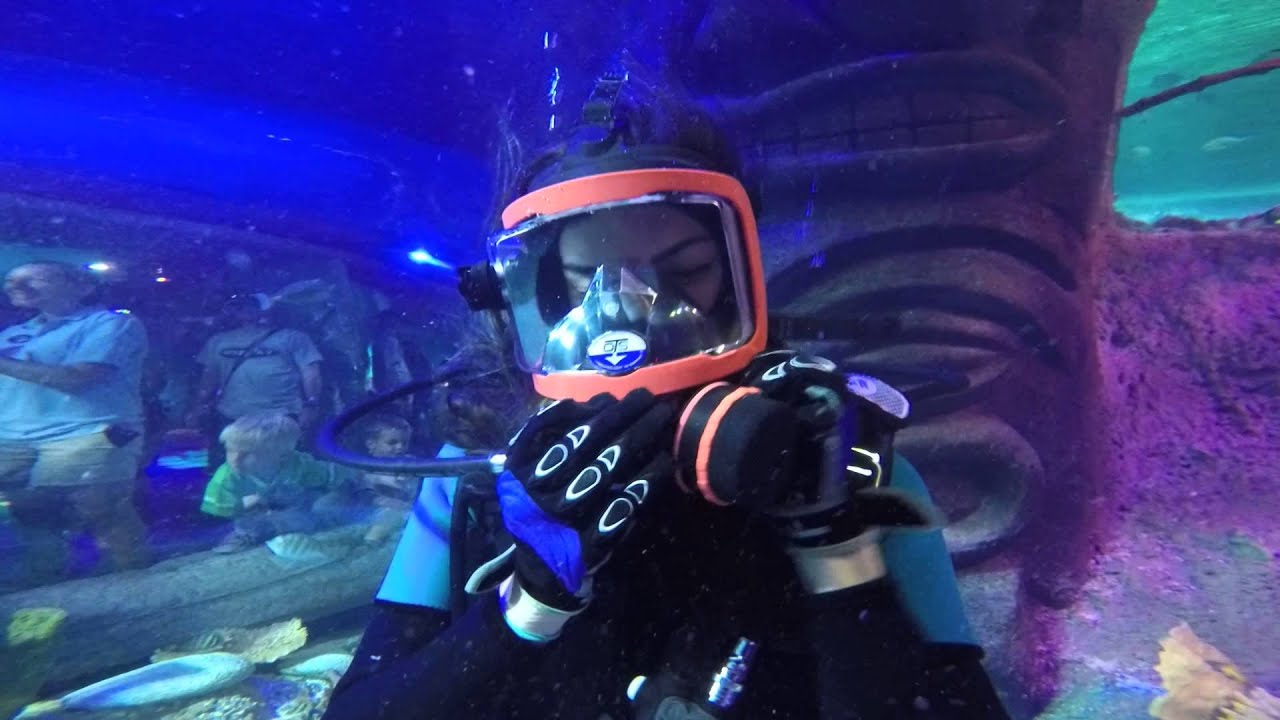 Sea Life 4