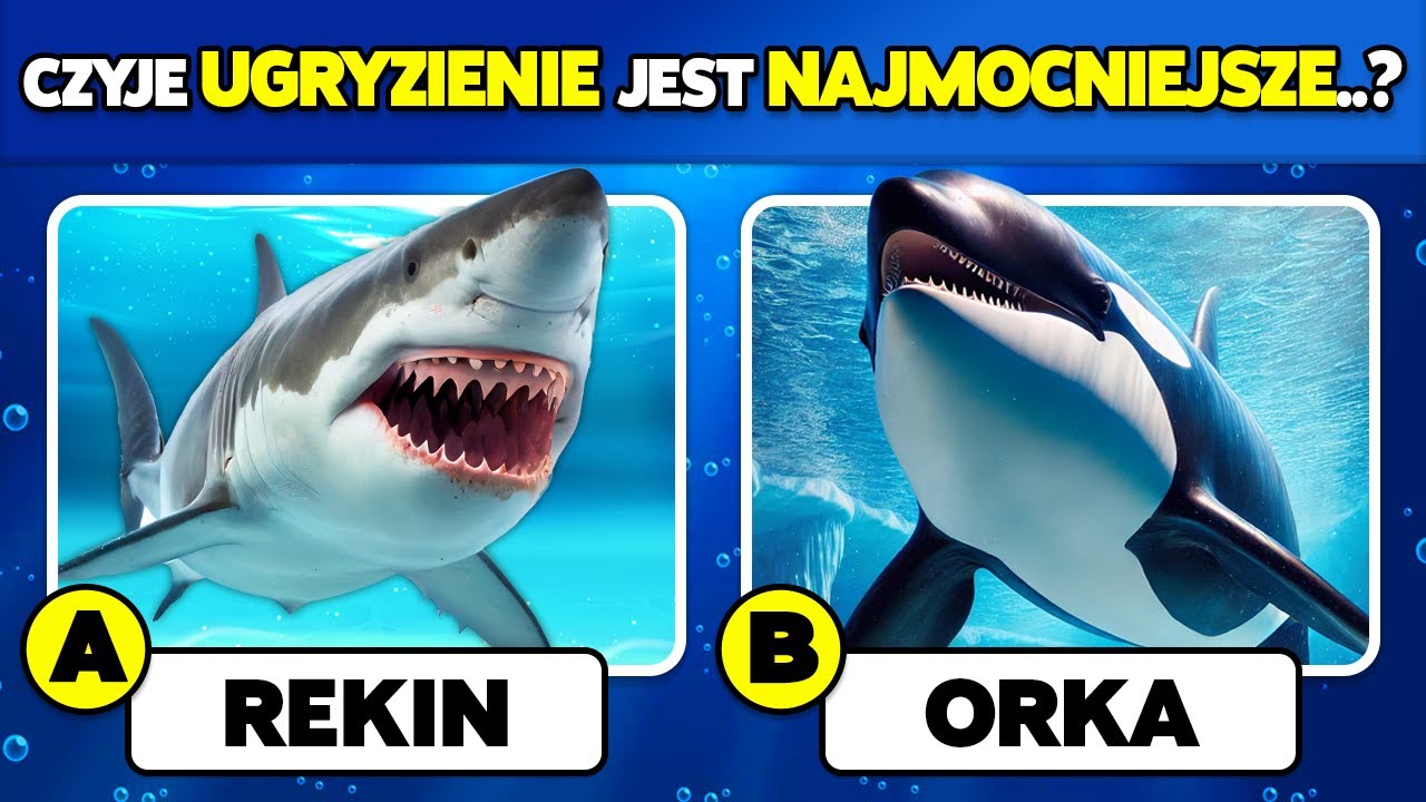 🧠 Jak dobrą masz wiedzę o Zwierzętach Morskich?!🐳🐠✅ Quiz Wiedzy Ogólnej