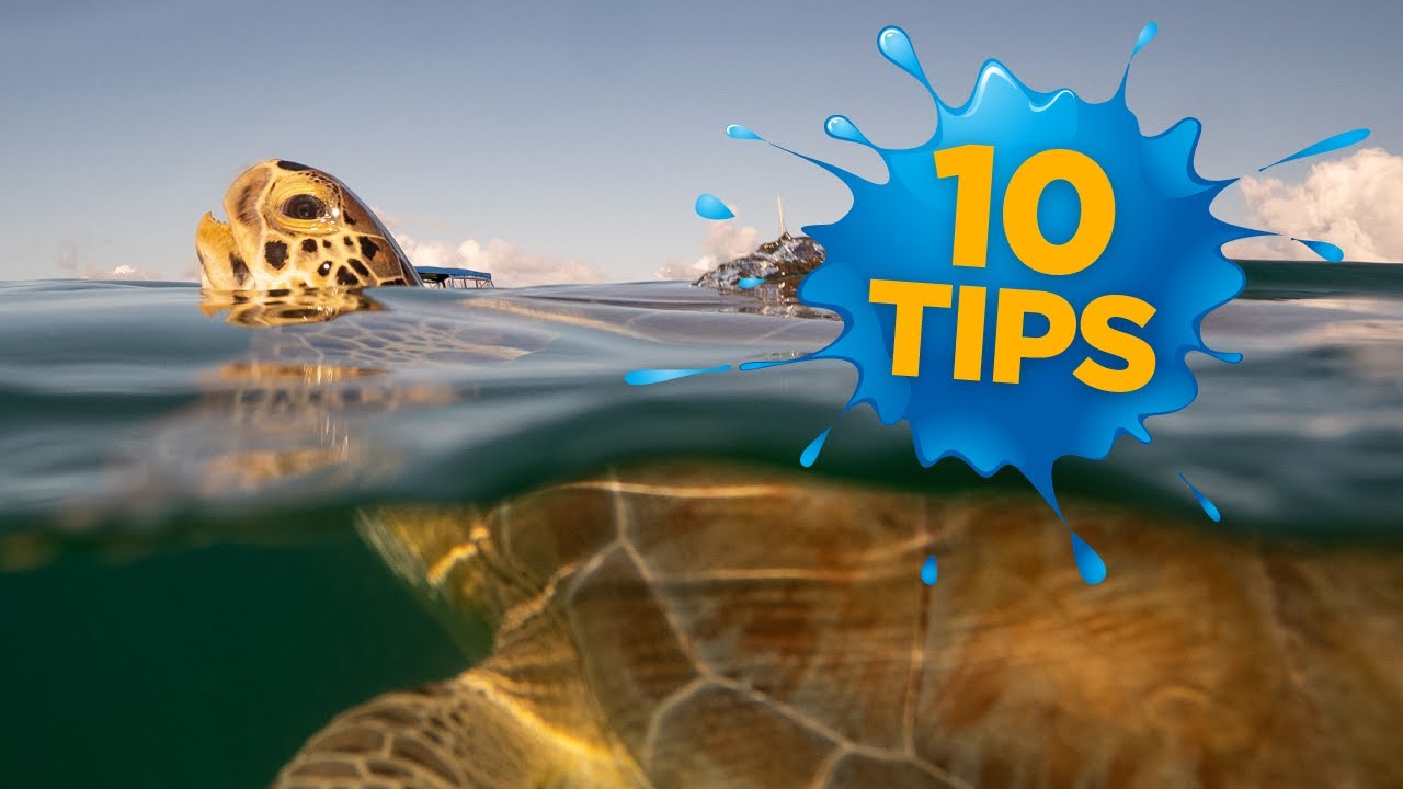 How to MASTER Over/Under Photos! (Bonus Photoshop Tip)