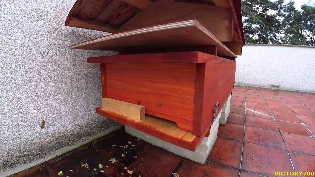 4K   Bienenkiste   Varroainspektion