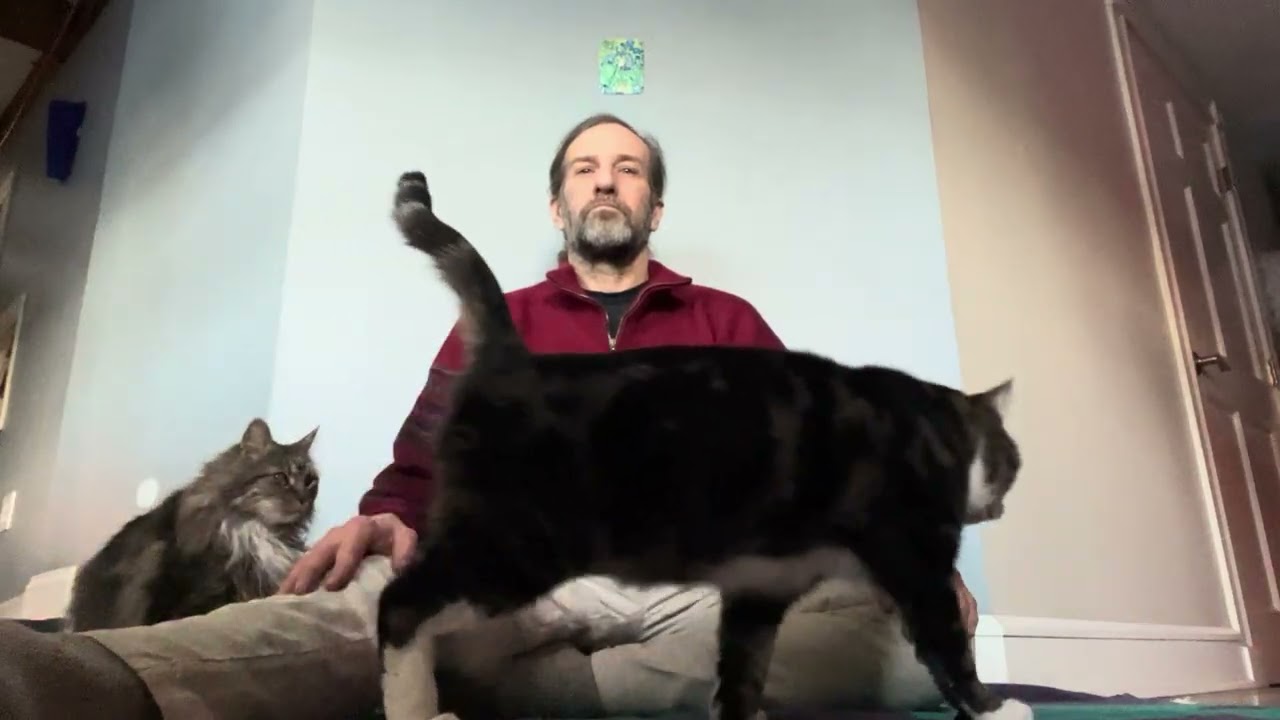 Meditating To “Allow This Moment to Be as It Is | Let Go and Surrender with This 20 Minute…”