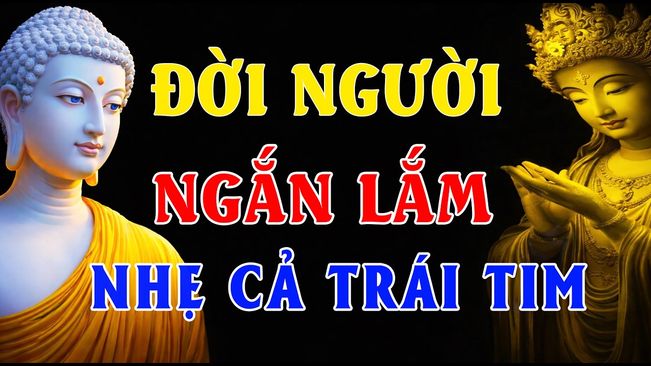 Đời Người Ngắn Lắm, Đừng Mang Gánh Nặng – Nghe Lời Phật Dạy Mà Nhẹ Cả Trái Tim
