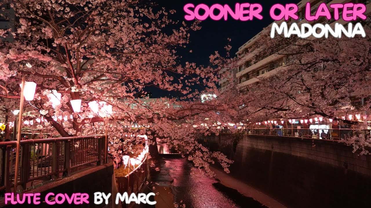 Madonna | Sooner or Later | Meguro River Sakura at Night | Tokyo | Stephen Sondheim