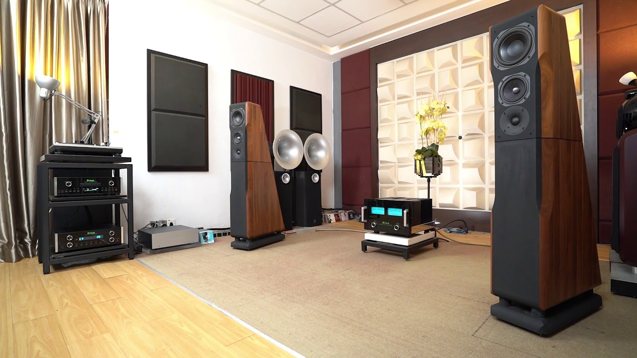 McIntosh MC602 + Chario Ursa Major