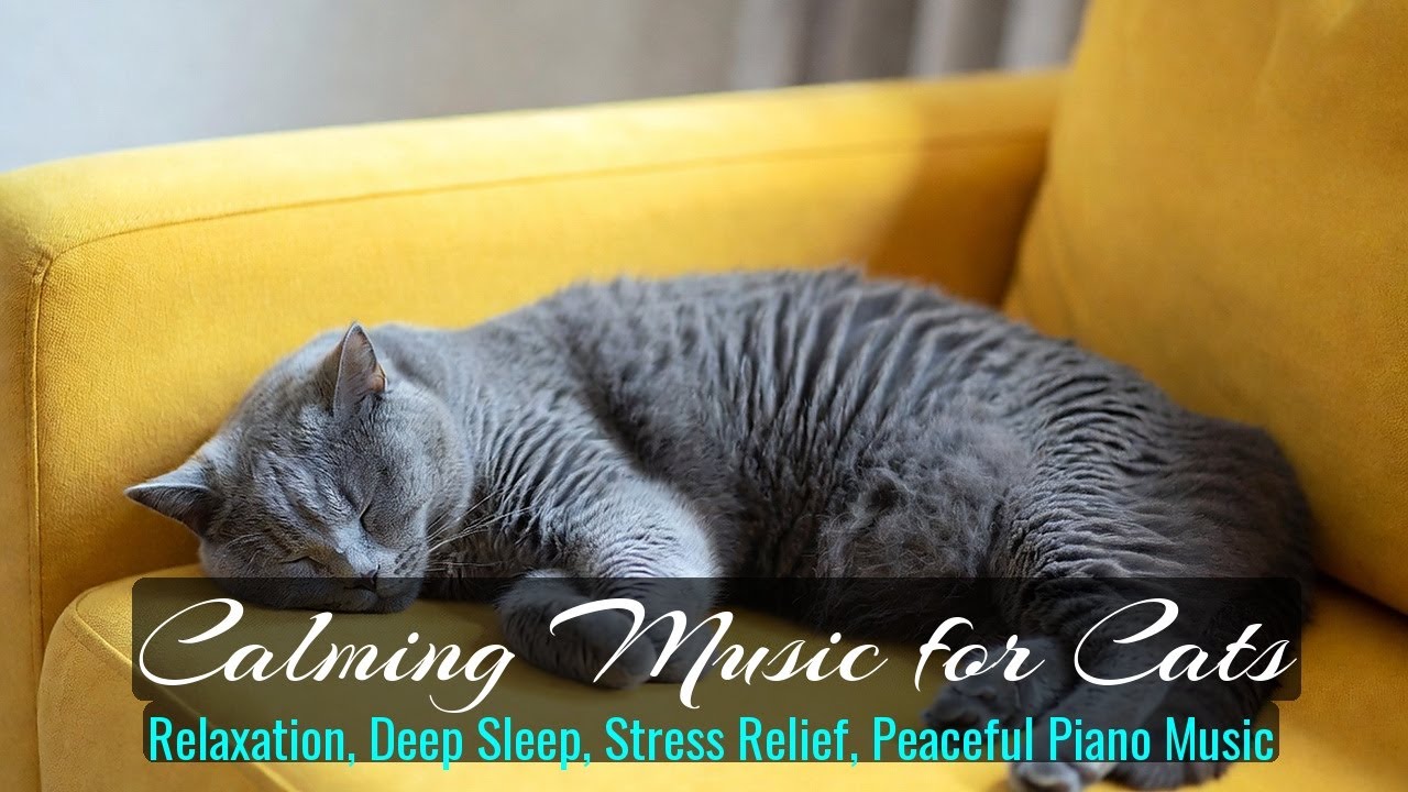 Calming Music for Cats - Relaxation, Deep Sleep, Stress Relief, Peaceful Piano Music | Season 57