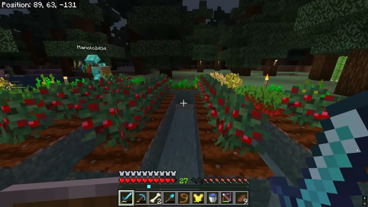 Minecraft Manny won't give up