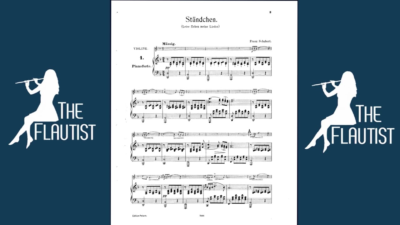 Flute Lessons -Learning Score -Serenade -Franz Schubert#learning #flute #flutelessons
