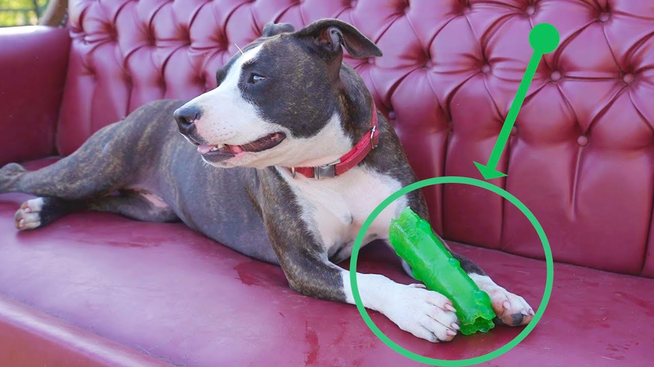 One Green Toy Becomes Precious Object