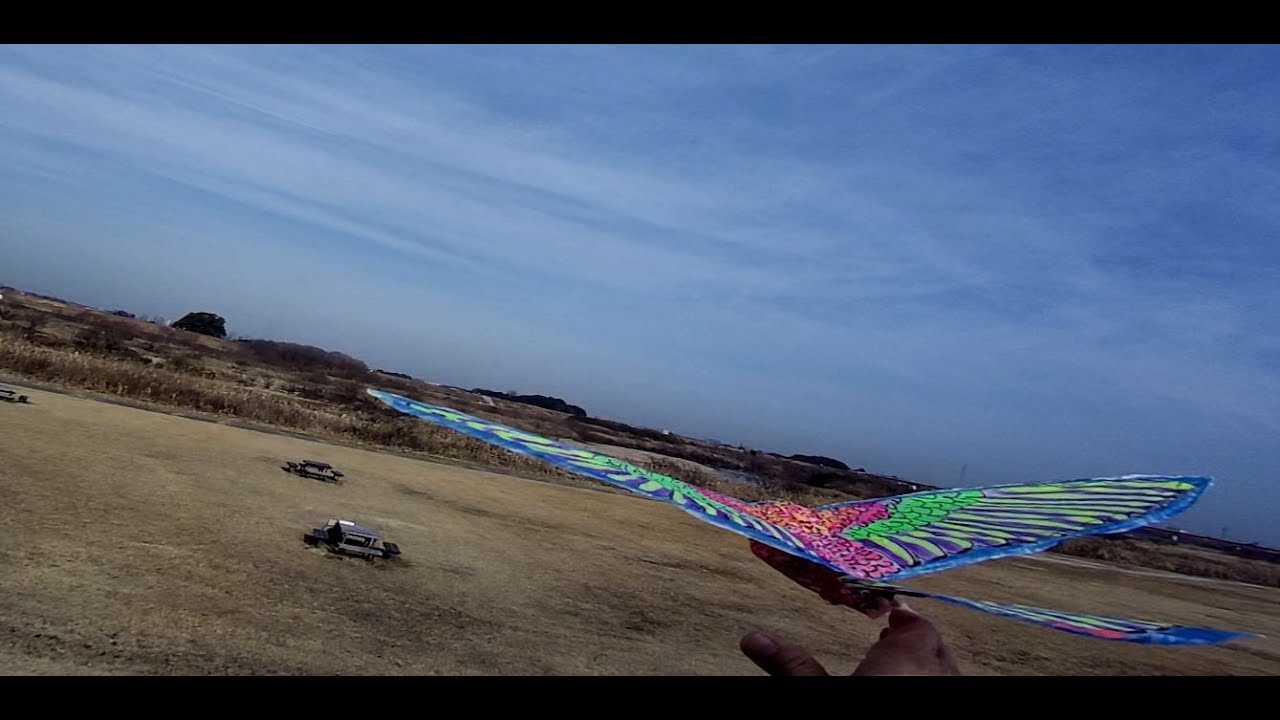 鵯ヒヨバタ580幅26 8g和紙26x2ⅹ5 ‐ Clipchampで作成