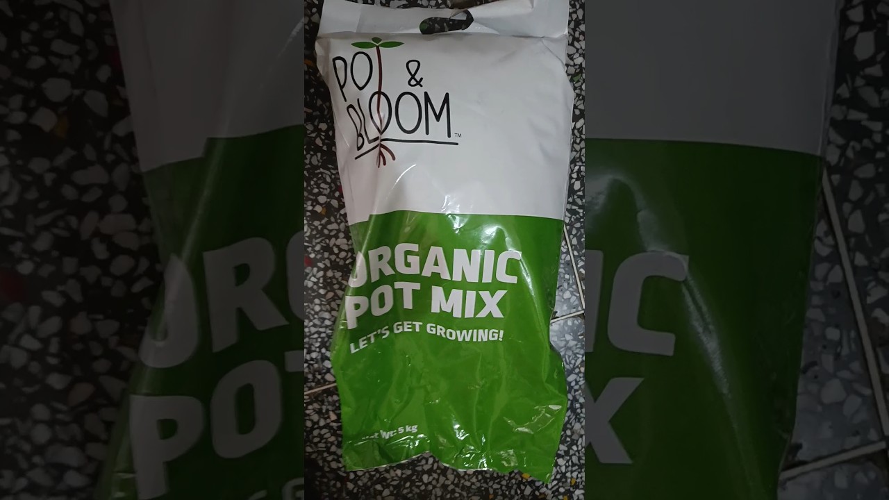 POT AND BLOOM POT MIX #music #love #organicfarming #garden #homemade  #plants #jhol #homegrown