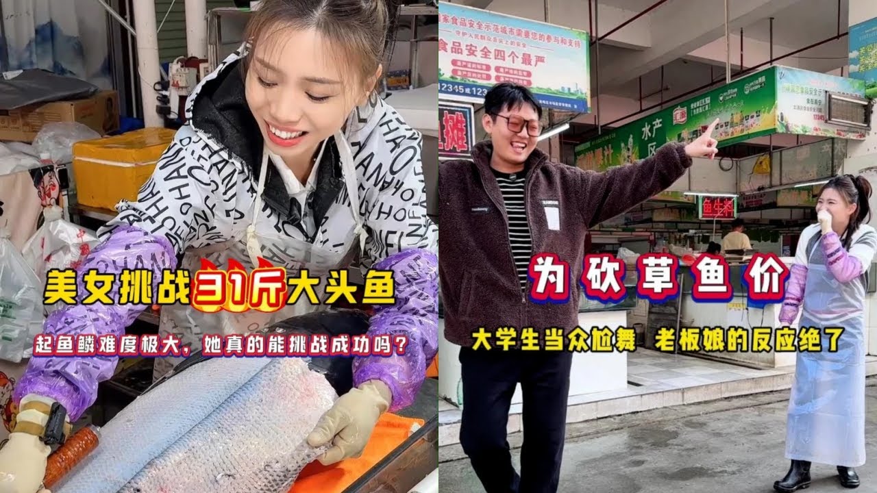 美女挑战31斤大头鱼，起鱼鳞难度极大，她真的能挑战成功吗？｜为砍草鱼价，大学生当众尬舞，老板娘的反应绝了！