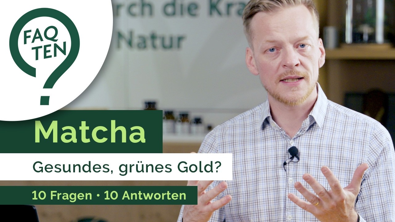 Matcha – Besser als Kaffee? – 10 Fragen, 10 Antworten – FAQTEN