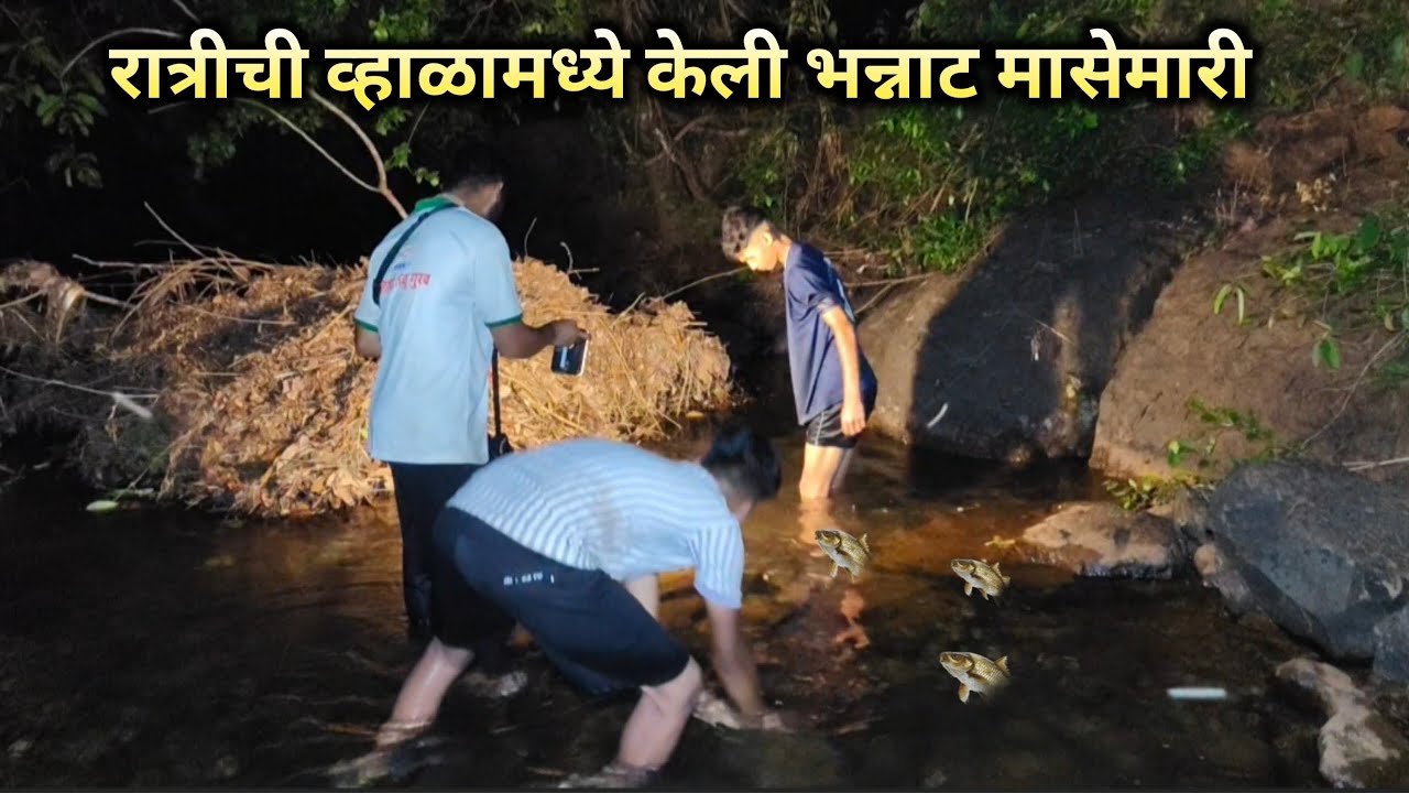 रात्रीची व्हाळामध्ये केली भन्नाट मासेमारी 🐟|पकडले मोठे खवळे मासे | #masemari @Kokani_akash_vlogs
