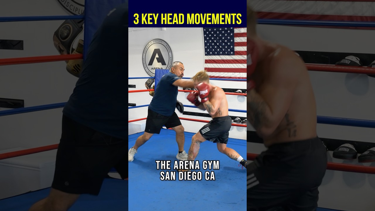 The SECRET to Moving Your Head in Boxing