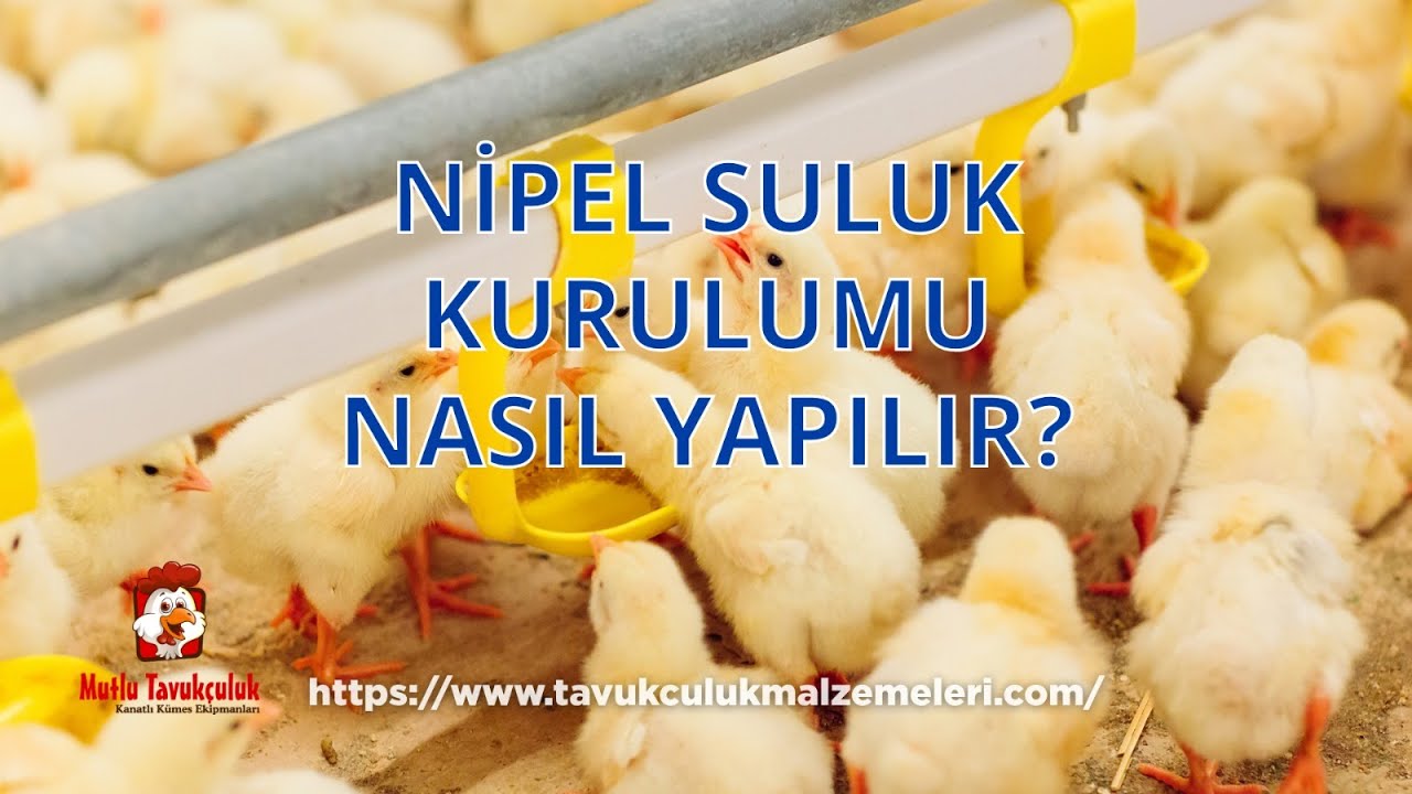 Nipel Suluk Kurulumu Nasıl Yapılır?
