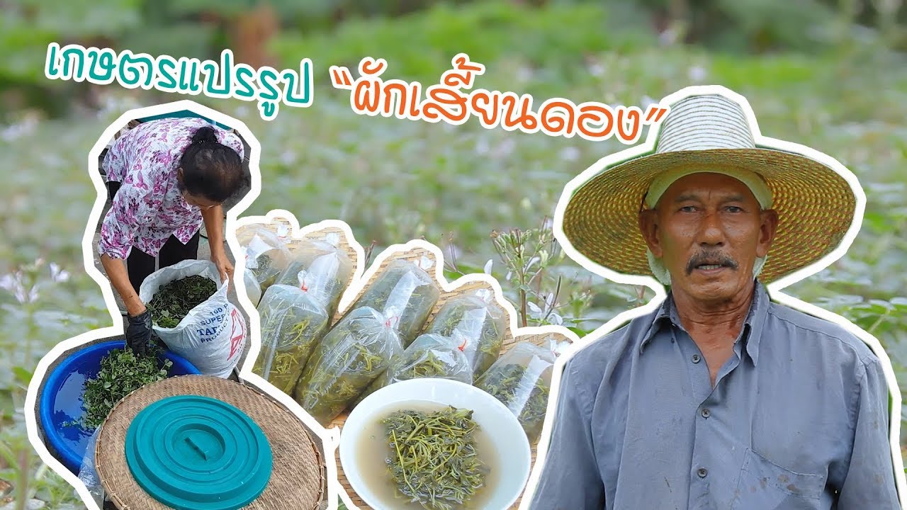 เกษตรแปรรูป 