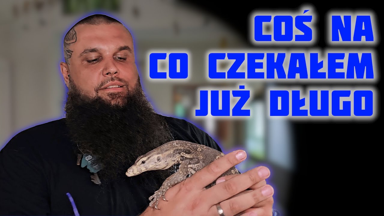 Nowe zwierzęta w Xclusive ball pythons 🦎. Jak zacząć przygodę z Varanami ?
